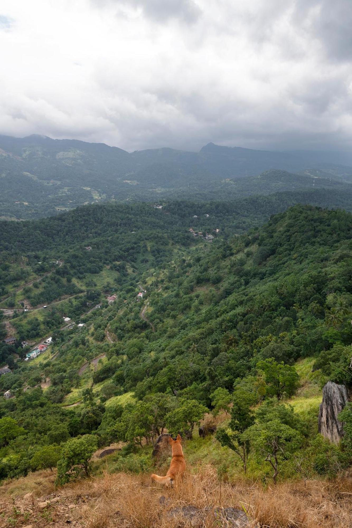 Kandy Victoria Eco Resort Eksteriør billede
